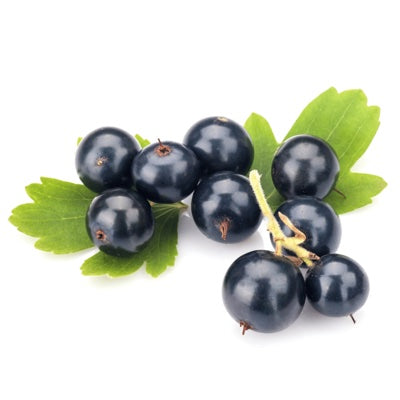 blackcurrant.jpg